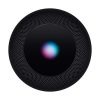 Apple HomePod Gris Sideral